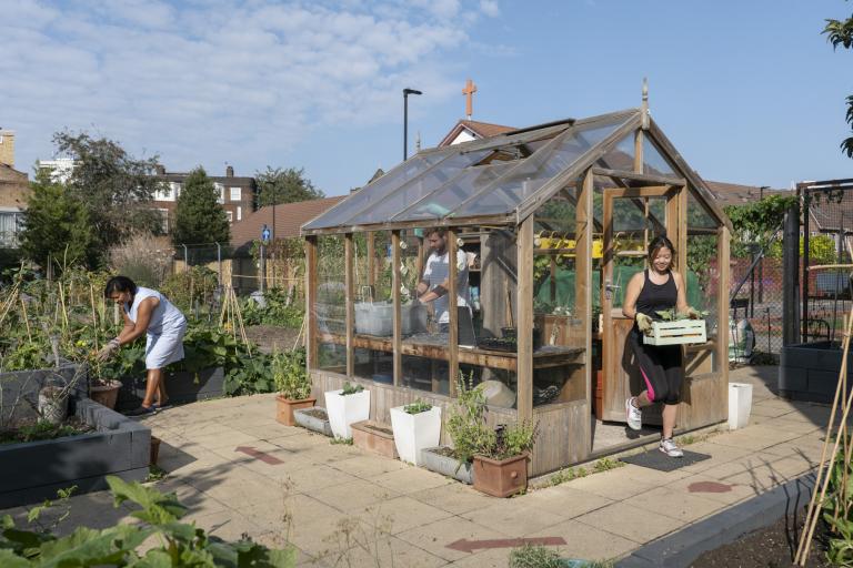 A group of people working on an allotment